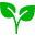 Organic Ecommerce